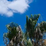 זהירות: גל חום – כך תישמרו מפגיעות חום